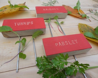 Garden Plant Markers