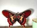 MIRRORED BUTTERFLY Tattoo Wall Art – Handmade Wood Cutout with Gypsy Faces, Bold Alternative Decor