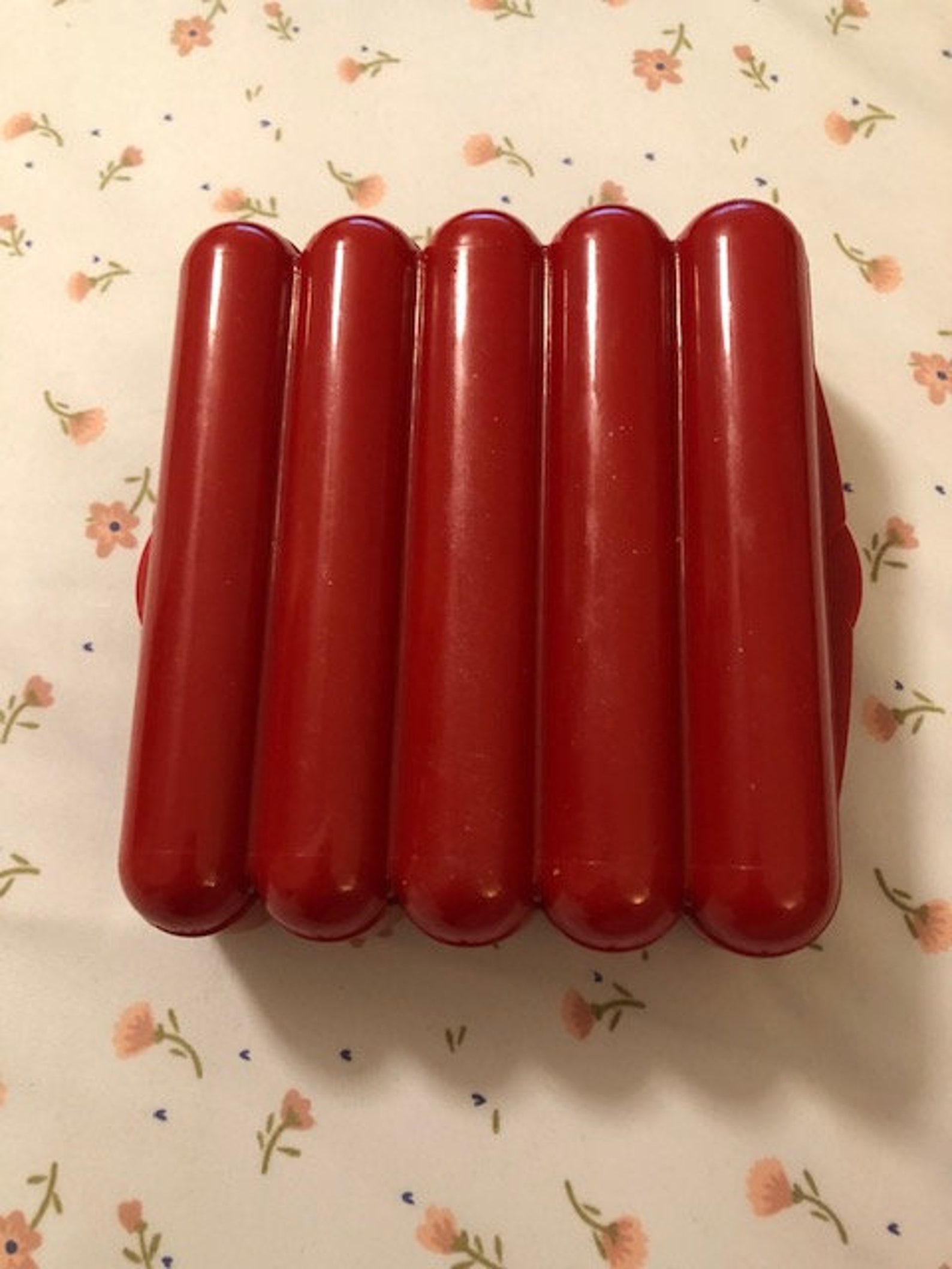 JOE Red Plastic Hot Dog Storage Container Holder Etsy