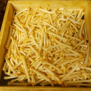 May include: A rectangular wooden tray filled with a large collection of small, light-colored, cylindrical bones. The bones are arranged in a dense, overlapping layer, covering the entire bottom surface of the light-toned wooden container.