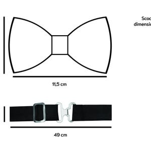 Papillon grigio chiaro per uomo, farfallino sposo, matrimonio romantico