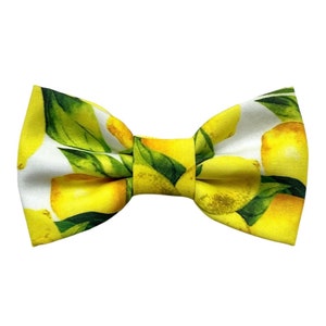 Child&#39;s bow tie with lemon motif, yellow bow tie for child, wedding page boy, inspiration for the spring summer wedding 2024,botanical style