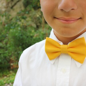 Baby Bow tie yellow, lemon tie for baby boy 0/12 years,pageboy,carrier rings,children's wedding,baby dress for wedding,baby accessories gift image 4