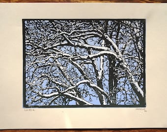 winter 2