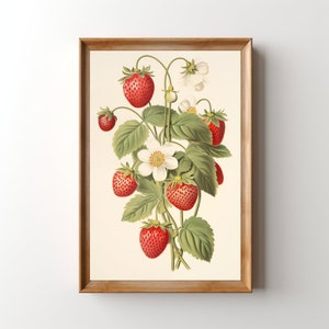 May include: A vintage botanical illustration of a strawberry plant with red ripe strawberries and white flowers. The illustration is framed in a light brown wood frame.