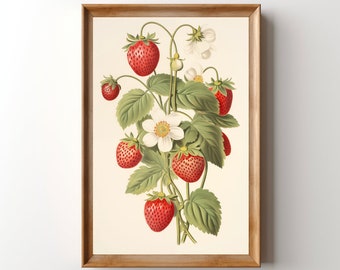 Vintage Strawberry Fruit Lithograph, Printable Strawberry Painting, Strawberry Artwork, Fruit Artwork, Wild Strawberries Print, Cottagecore