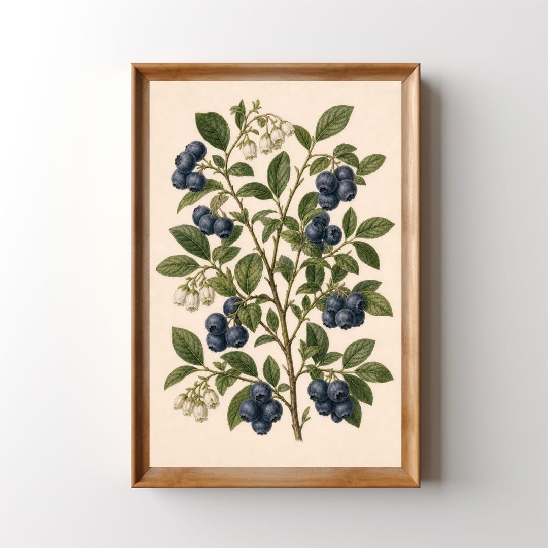 Vintage Blueberry Art Print, Printable Wild Blueberries Wall Art ...