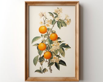 Vintage Oranges Print, Printable Orange Grove Wall Art, Botanical Fruit Decor, Orange Blossom Retro Kitchen Art, Nature Boho Apartment Gift