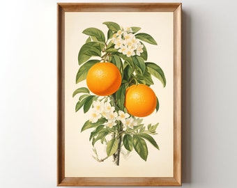 Vintage Blumenorangendruck, druckbare Orangen Lithographie-Wandkunst, Retro-Zitrusküchenmalerei, Cottagecore-Bauernhaus-botanisches Dekor