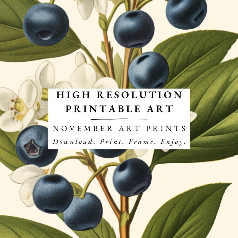 Vintage Blueberry Art Print, Printable Blueberry Wall Art, Fruit ...