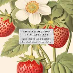 May include: Vintage botanical illustration of a strawberry plant with red strawberries and white flowers. The image has text that reads "HIGH RESOLUTION PRINTABLE ART NOVEMBER ART PRINTS Download. Print. Frame. Enjoy."