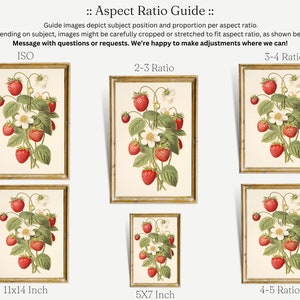 May include: A guide to aspect ratios for images, with examples of how different ratios affect the cropping of a strawberry illustration. The guide includes examples of 11x14 inch, 5x7 inch, 3-4 ratio, 2-3 ratio, and 4-5 ratio.