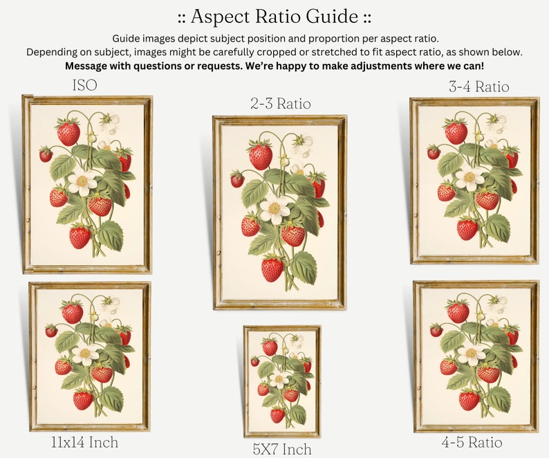 May include: A guide to aspect ratios for images, with examples of how different ratios affect the cropping of a strawberry illustration. The guide includes examples of 11x14 inch, 5x7 inch, 3-4 ratio, 2-3 ratio, and 4-5 ratio.
