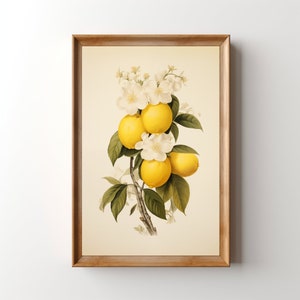 Vintage Lemons Art Print, Printable Lemon Floral Wall Art, Digital Retro Fruit Lithograph Kitchen Artwork, Botanical Midcentury Modern Decor