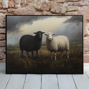 May include: A black sheep and a white sheep standing in a field of long grass. The sky is cloudy and there is a sense of an approaching storm.