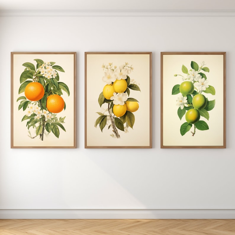 May include: Three framed botanical prints featuring citrus fruit branches with white blossoms. The left print shows orange fruit, the middle print shows yellow lemons, and the right print shows green limes.