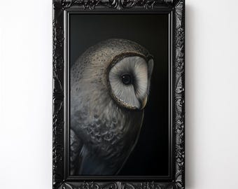 May include: A framed painting of a barn owl with a dark background. The owl's feathers are a mix of gray and white, and its eyes are black. The frame is black and ornate.
