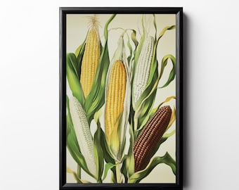 Printable Vintage Corn Illustration Rainbow Corn Print Retro Kitchen Decor Cottage Vegetable Artwork Restaurant Farm Wall Art Colorful Maize