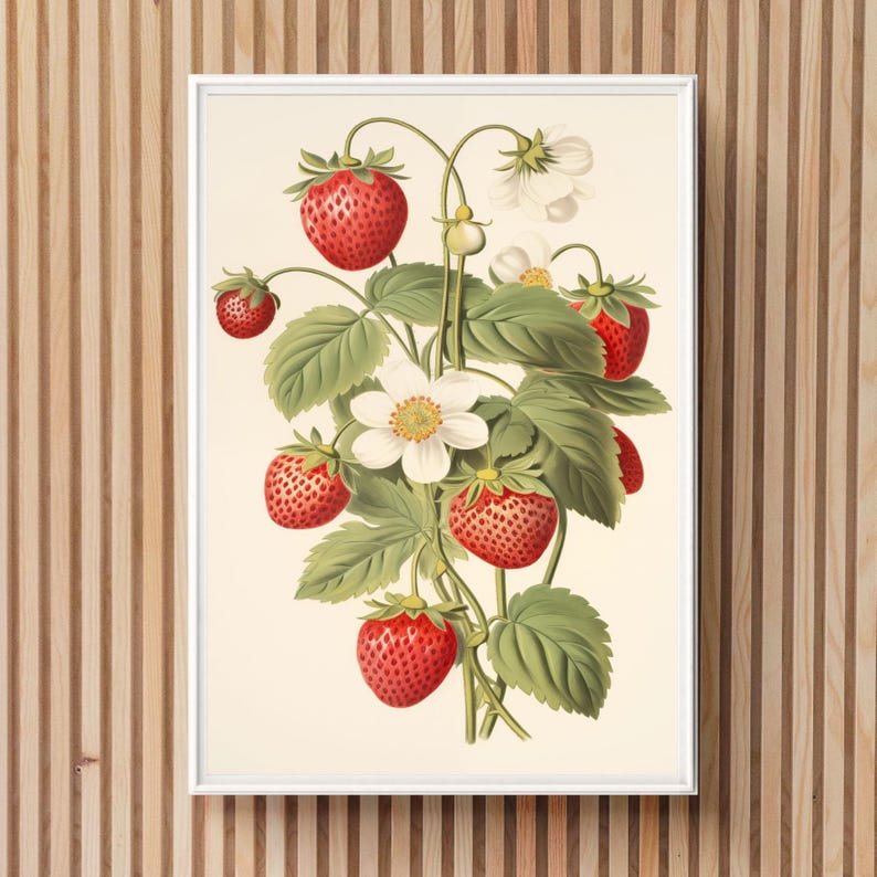 May include: A vintage botanical illustration of a strawberry plant with red ripe strawberries and white flowers. The illustration is framed in a white frame.