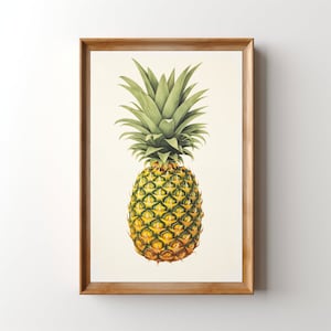May include: A framed illustration of a pineapple with green leaves and a yellow and brown fruit. The pineapple is depicted in a realistic style.