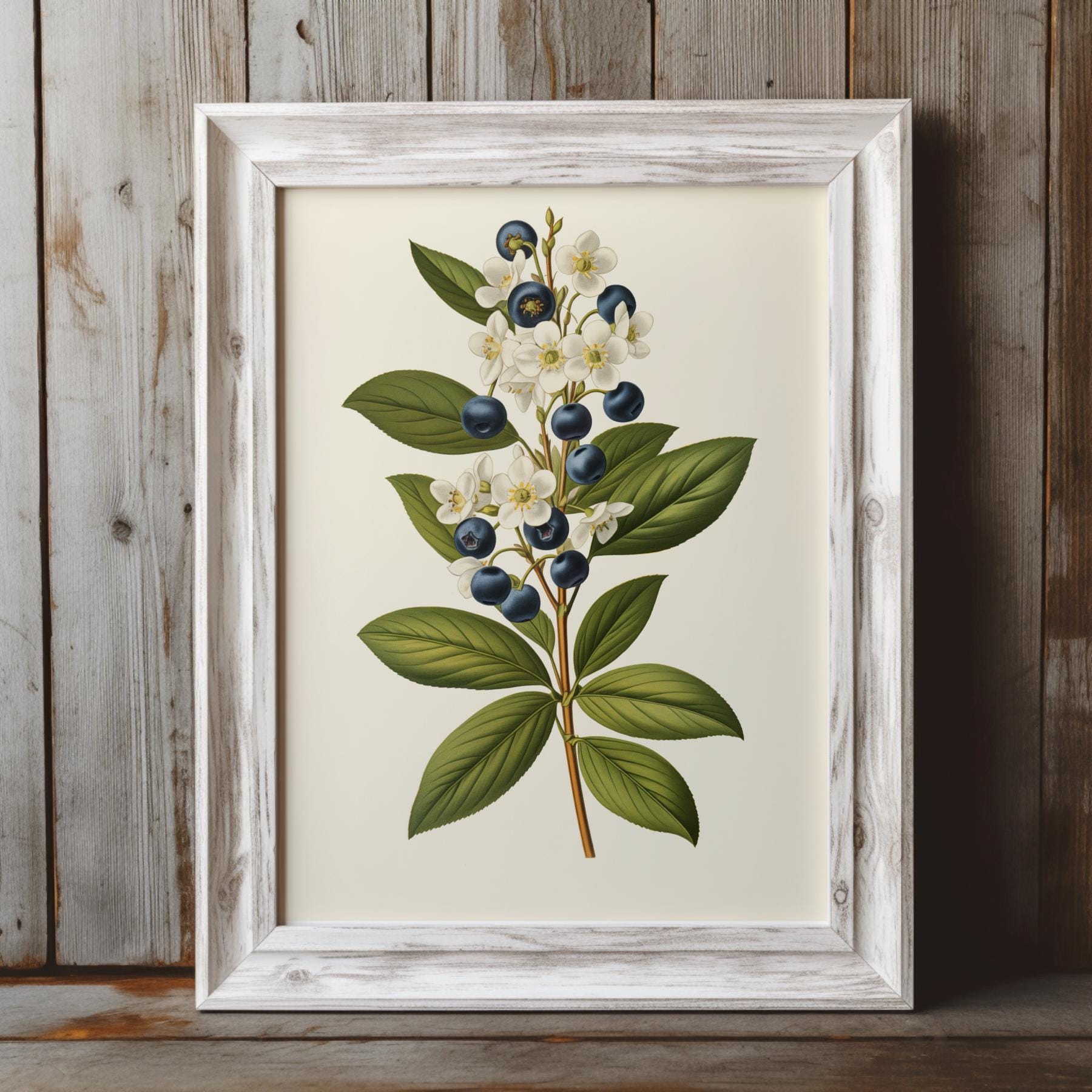 Vintage Blueberry Art Print, Printable Blueberry Wall Art, Fruit ...