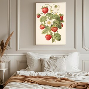 May include: A vintage botanical illustration of a strawberry plant with red ripe strawberries and white flowers. The illustration is on a white background.
