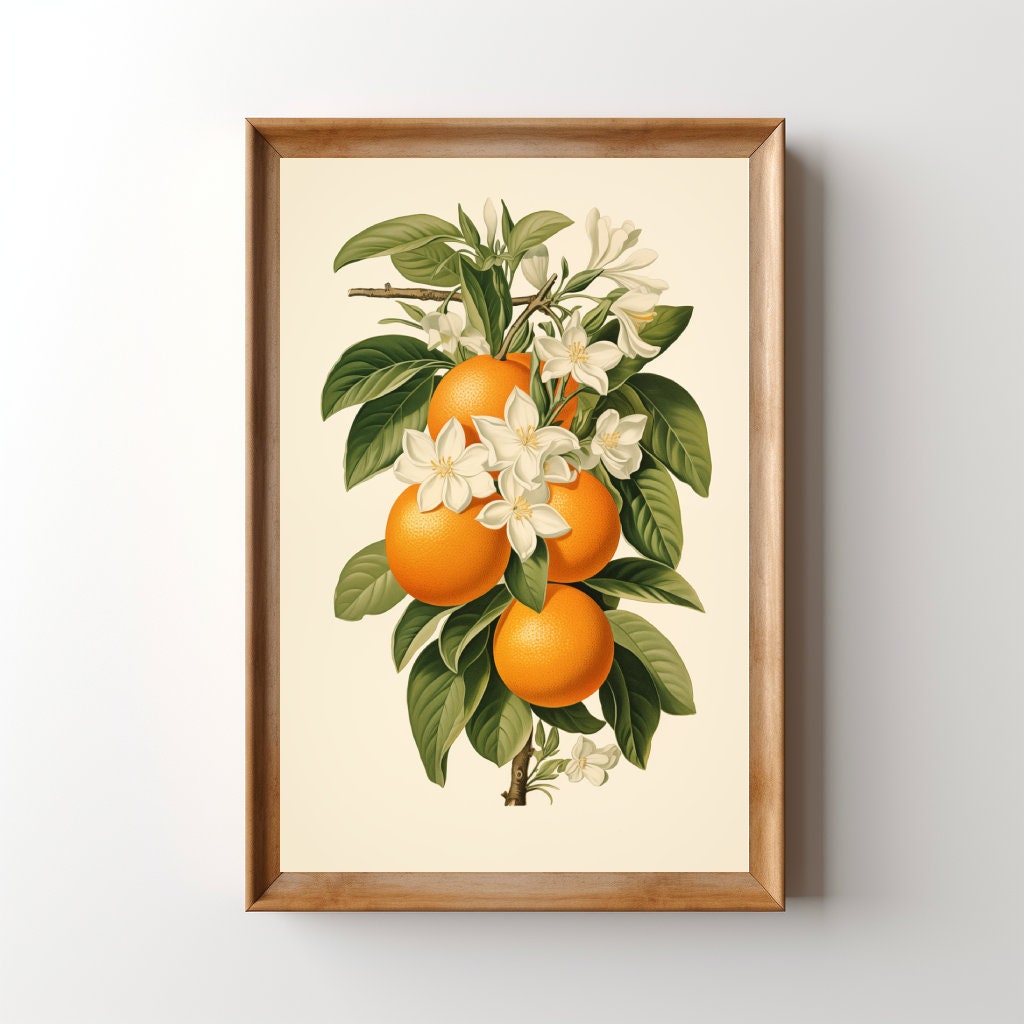Vintage Floral Oranges Print, Printable Lithograph Fruit Wall Art, Retro Citrus Kitchen Painting, Boho Cottagecore Farmhouse Botanical Print