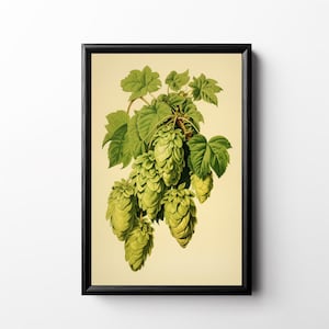 Vintage Hops Print, Printable Hops Poster, Brewery Artwork, Homebrew Wall Art, Brewer Gift Beer Lover Retro Craft Beer Lithograph Bar Decor