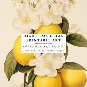 May include: A digital art print featuring a botanical illustration of white flowers and yellow lemons. The text "HIGH RESOLUTION PRINTABLE ART NOVEMBER ART PRINTS Download. Print. Frame. Enjoy." is displayed on a white background.