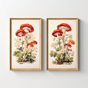 Floral Mushroom Print Set, Printable Vintage Mushroom Illustrations, Retro Botanical Cottagecore Decor, Mycology Lithograph Kitchen Wall Art