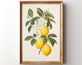 Vintage Lemons Print, Printable Lemon Wall Art, Digital Fruit Kitchen Artwork, Retro Citrus Poster, Midcentury Botanical Floral Lithograph