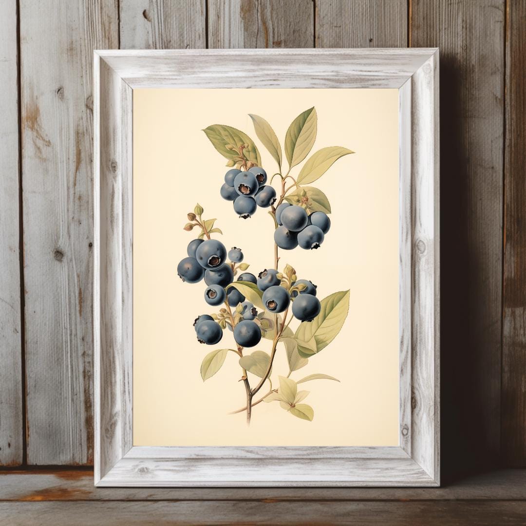 Vintage Blueberry Art Print, Printable Blueberries Wall Art, Botanical ...
