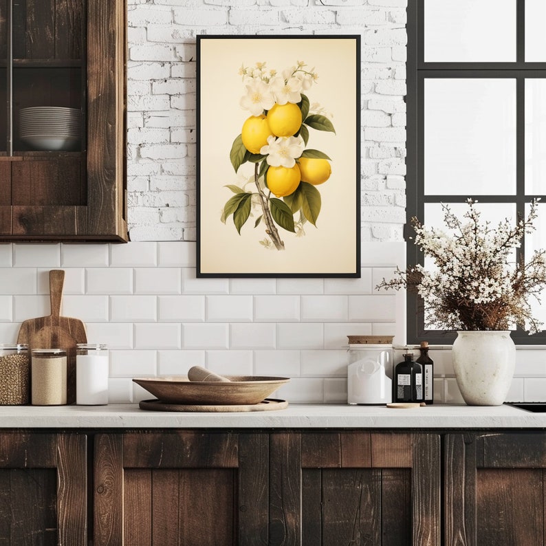 May include: A vintage botanical illustration of a lemon tree branch with yellow lemons and white blossoms. The illustration is framed in black and displayed on a white tiled kitchen wall.
