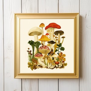 Imprimé champignon rétro carré, impression d'art mural champignon vintage, décoration florale de cuisine, oeuvre d'art pour chambre d'enfant, champignon vénéneux botanique cottagecore