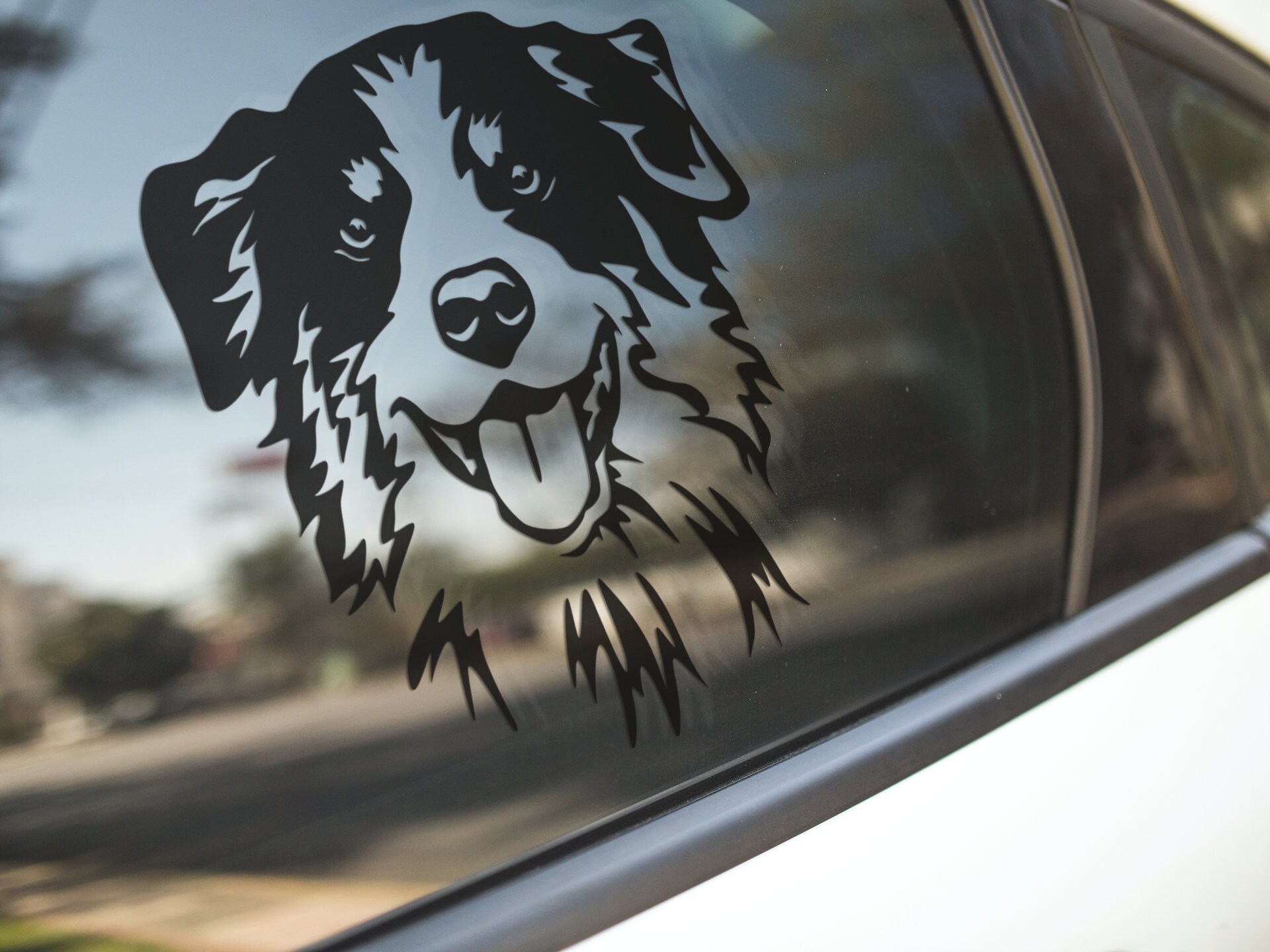 Australian Shepherd Car Sticker Etsy