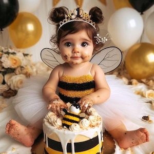 Brabus Queen Bee Birthday Party Crown, My 1st Bee Day Crown, Sweet to Bee One, Bumble Bee First Birthday Tiara Headband, Bee Outfit Costume