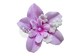 Isabella Madrigal Purple Flower Hair Clip, Encanto Head Flower, Isabela Madrigal Hair Flower, Isabella Madrigal Birthday Outfit Costume 