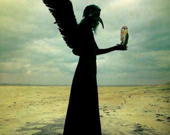 May include: Silhouette of a figure with large black wings and a long, flowing robe, holding a small white owl in their hand. The figure stands in a desolate, sandy landscape under a cloudy sky.