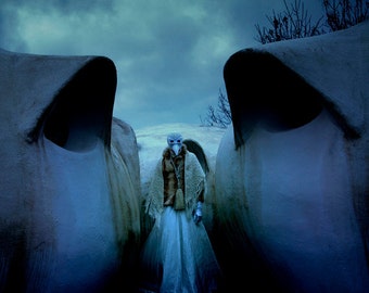May include: A person wearing a plague doctor mask, a brown fur-lined coat, and a white dress stands between two large, hooded structures. The scene is set against a cloudy, blue-toned sky, creating a mysterious and eerie atmosphere.