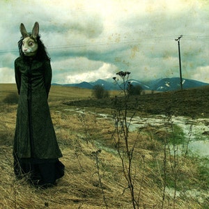 May include: A woman wearing a long, dark green coat and a rabbit mask stands in a field. The field is covered in tall grass and there is a small stream in the background. The sky is cloudy and the overall tone of the image is dark and mysterious.