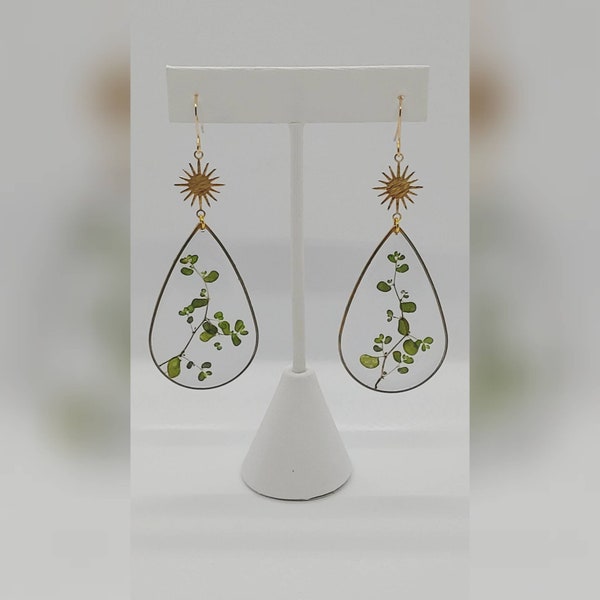 Preserved plant earrings in gold with sun