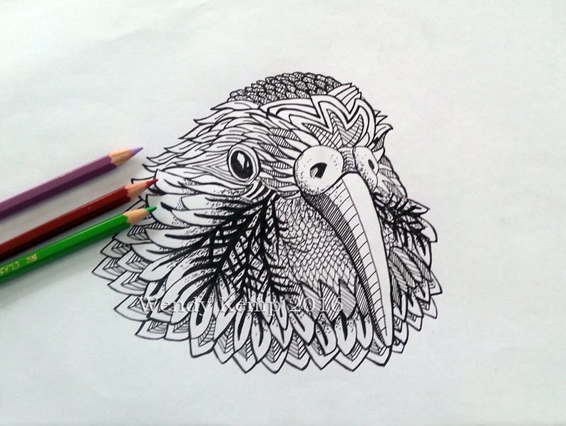 Kea colouring page for adults download and print sheet | Etsy