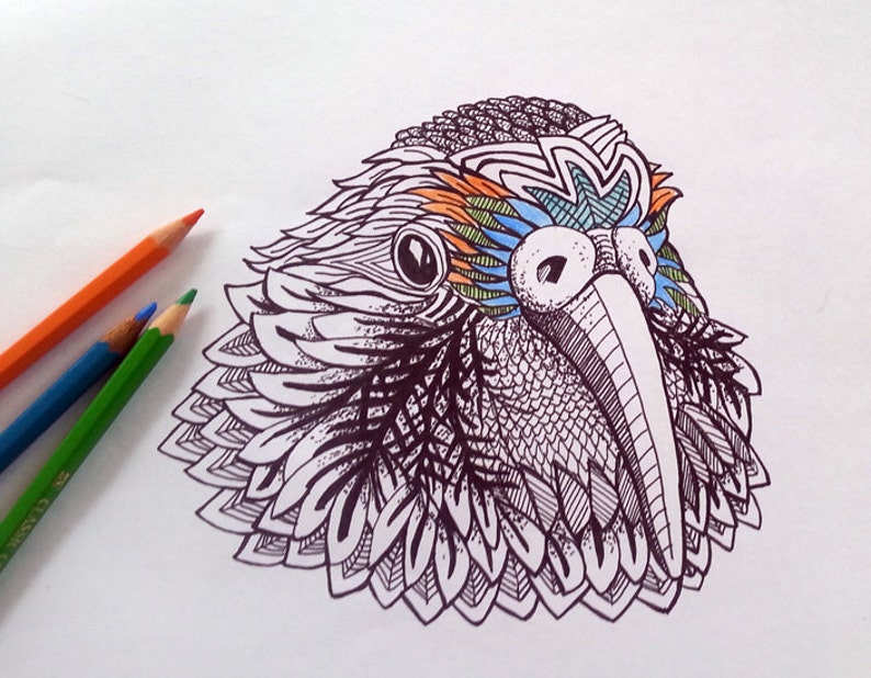 Download Kea colouring page for adults download and print sheet | Etsy