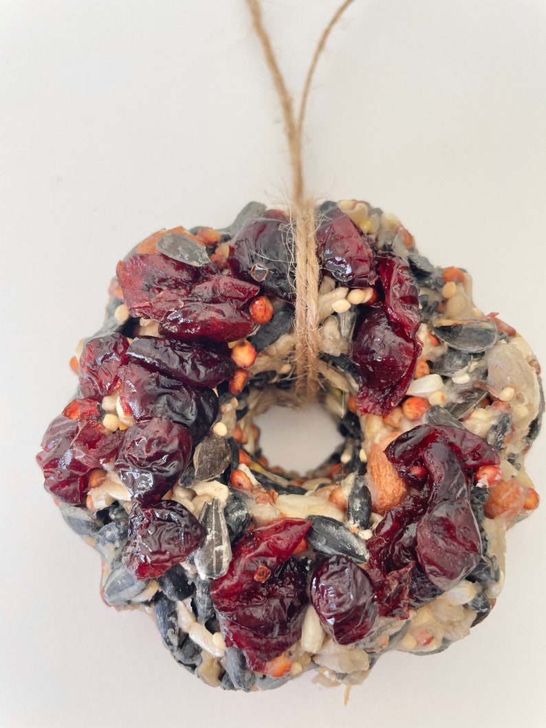 May include: A circular birdseed wreath ornament featuring a mixture of black sunflower seeds, various grains, and dark red dried cranberries, held together by a binding agent and suspended by a thin piece of natural brown jute twine.