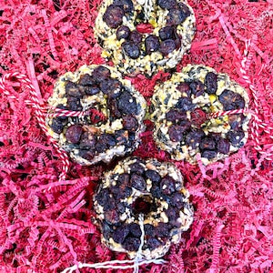 May include: Four circular bird seed wreaths featuring a dense mixture of seeds and dark dried berries. Each wreath has a center hole and is attached to a piece of white or red and white baker's twine for hanging, arranged in a square formation.
