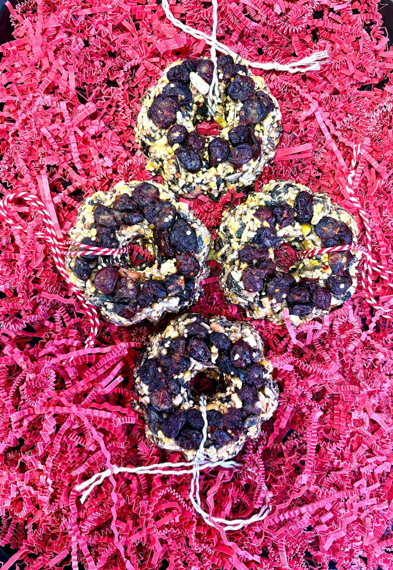 May include: Four circular bird seed wreaths featuring a dense mixture of seeds and dark dried berries. Each wreath has a center hole and is attached to a piece of white or red and white baker's twine for hanging, arranged in a square formation.