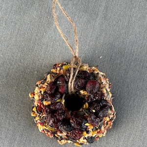 May include: A circular birdseed wreath ornament featuring a dense mixture of various seeds, grains, and dried dark red cranberries. The wreath has a central hole and is suspended by a thin, natural brown jute twine loop for hanging purposes.