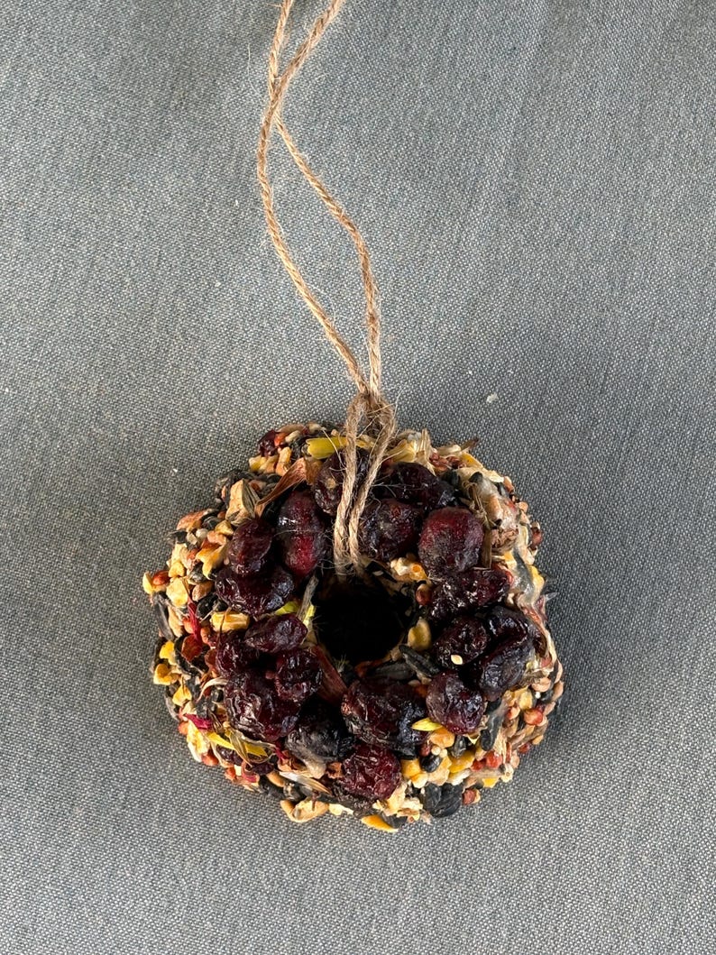 May include: A circular birdseed wreath ornament featuring a dense mixture of various seeds, grains, and dried dark red cranberries. The wreath has a central hole and is suspended by a thin, natural brown jute twine loop for hanging purposes.