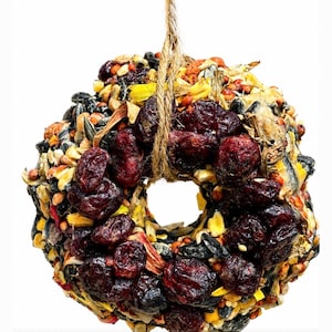 May include: A circular birdseed wreath featuring a dense mixture of black sunflower seeds, yellow corn kernels, and various grains, accented with numerous dark red dried cranberries throughout, suspended by a thick, natural jute twine loop.