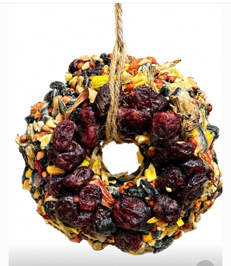 May include: A circular birdseed wreath featuring a dense mixture of black sunflower seeds, yellow corn kernels, and various grains, accented with numerous dark red dried cranberries throughout, suspended by a thick, natural jute twine loop.